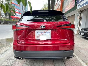 Xe Lexus NX 300 2017