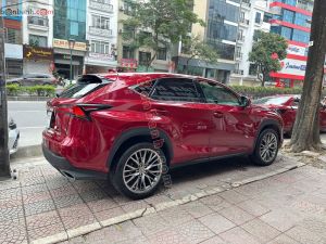 Xe Lexus NX 300 2017